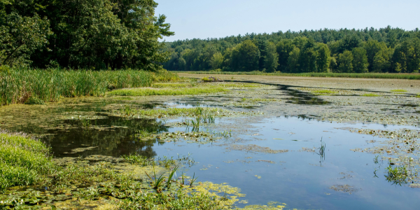 Tell the EPA: Protect Clean Water in Michigan