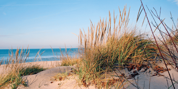Tell Your Lawmaker: Fund the Michigan DNR