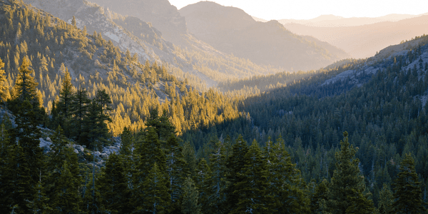 Tell the USDA: Keep the Roadless Rule